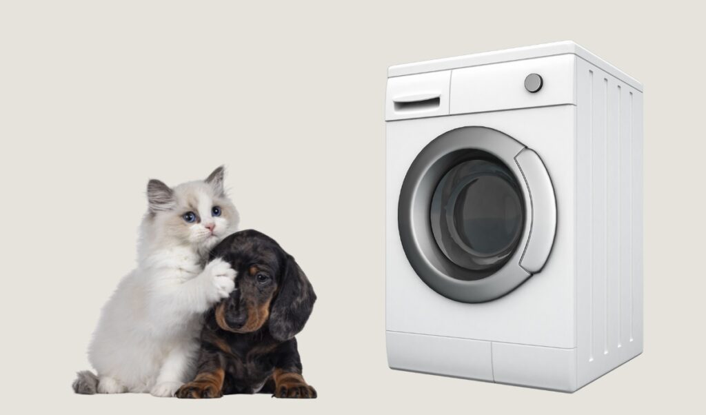 Best Washing Machines for pet hair featured image