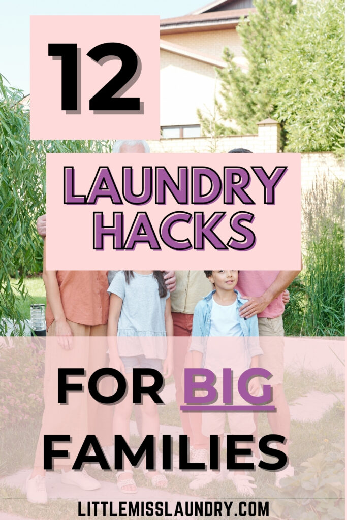 This image features a vertical layout with two sections. The top section displays bold text that reads "12 Laundry Hacks" in black and "for Big Families" in purple against a pink background. Below, a photograph shows a diverse group of five people, likely a family, standing in a grassy outdoor setting near a house. The family members appear relaxed and casual, some smiling at the camera. 