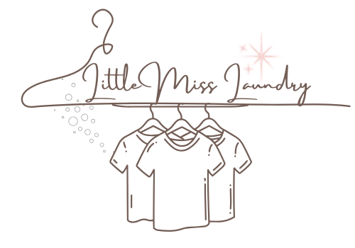 Little Miss Laundry